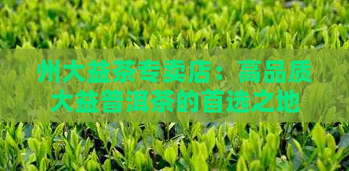 州大益茶专卖店：高品质大益普洱茶的首选之地