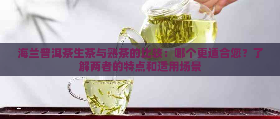 海兰普洱茶生茶与熟茶的比较：哪个更适合您？了解两者的特点和适用场景