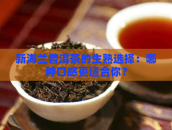 新海兰普洱茶的生熟选择：哪种口感更适合你？