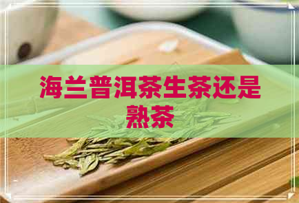 海兰普洱茶生茶还是熟茶