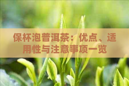 保杯泡普洱茶：优点、适用性与注意事项一览