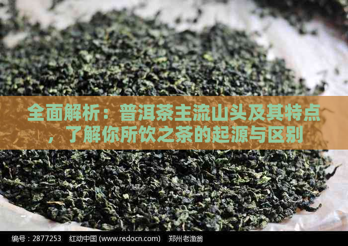 全面解析：普洱茶主流山头及其特点，了解你所饮之茶的起源与区别