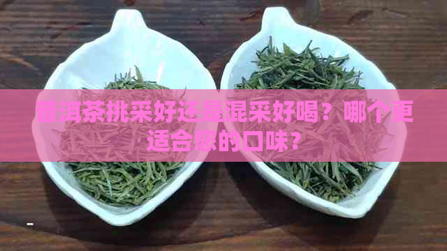 普洱茶挑采好还是混采好喝？哪个更适合您的口味？