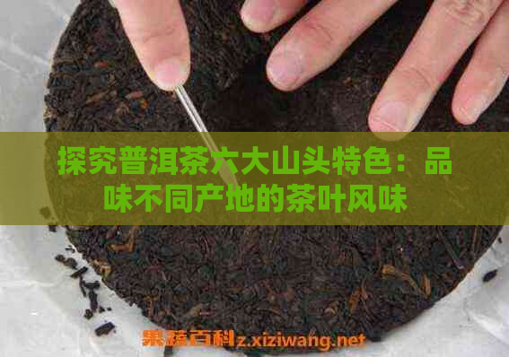 探究普洱茶六大山头特色：品味不同产地的茶叶风味