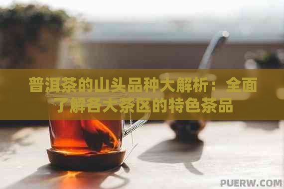 普洱茶的山头品种大解析：全面了解各大茶区的特色茶品