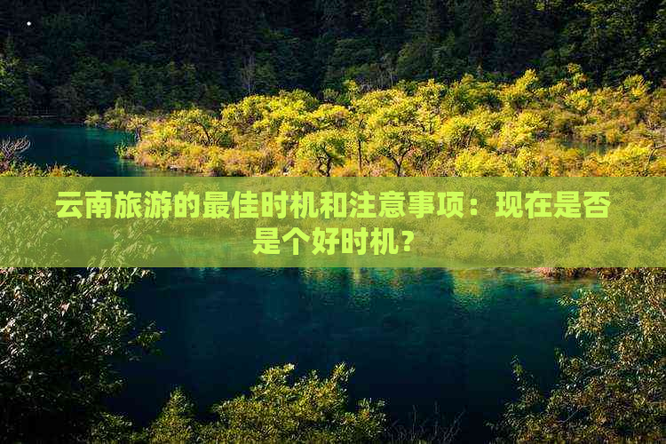 云南旅游的更佳时机和注意事项：现在是否是个好时机？