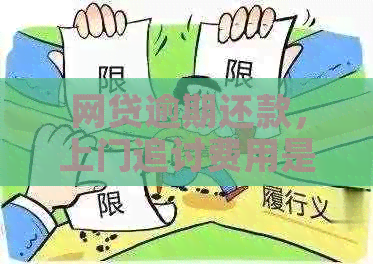 网贷逾期还款，上门追讨费用是否合理？如何应对逾期还款导致的上门？