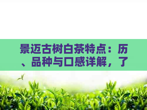 景迈古树白茶特点：历、品种与口感详解，了解真正的老白茶风范