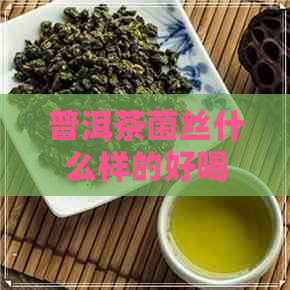 普洱茶菌丝什么样的好喝