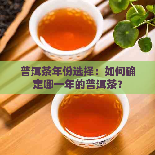 普洱茶年份选择：如何确定哪一年的普洱茶？