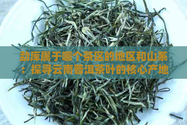 勐库属于哪个茶区的地区和山系：探寻云南普洱茶叶的核心产地