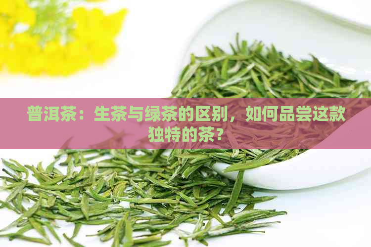 普洱茶：生茶与绿茶的区别，如何品尝这款独特的茶？