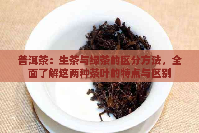 普洱茶：生茶与绿茶的区分方法，全面了解这两种茶叶的特点与区别