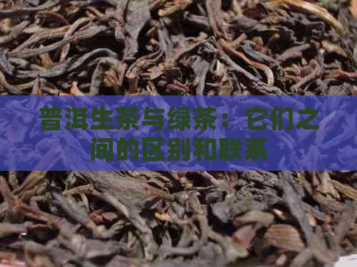 普洱生茶与绿茶：它们之间的区别和联系