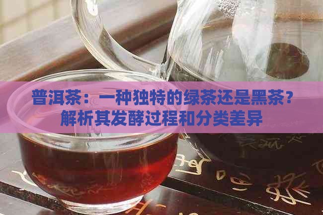 普洱茶：一种独特的绿茶还是黑茶？解析其发酵过程和分类差异