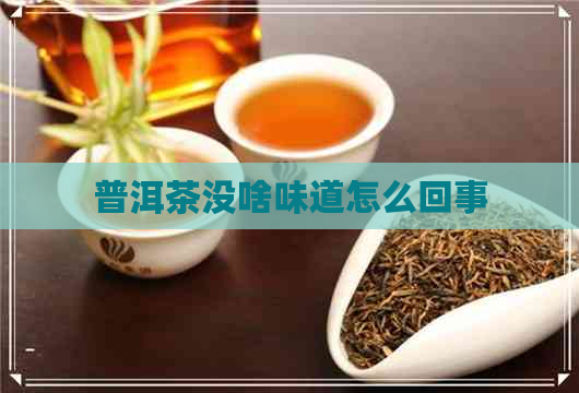 普洱茶没啥味道怎么回事