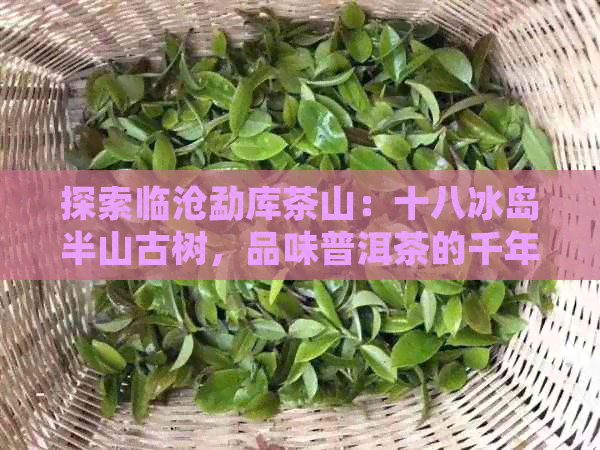 探索临沧勐库茶山：十八冰岛半山古树，品味普洱茶的千年传承