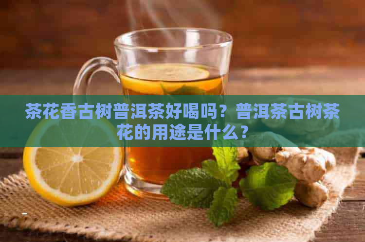 茶花香古树普洱茶好喝吗？普洱茶古树茶花的用途是什么？