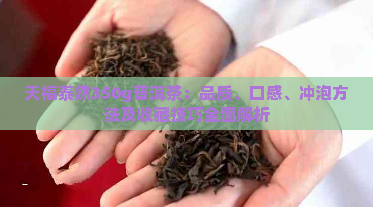 天福泰然350g普洱茶：品质、口感、冲泡方法及收藏技巧全面解析