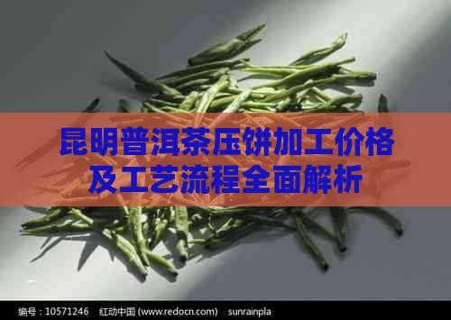 昆明普洱茶压饼加工价格及工艺流程全面解析