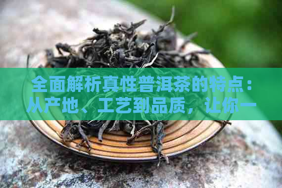 全面解析真性普洱茶的特点：从产地、工艺到品质，让你一次了解清楚