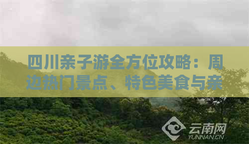 四川亲子游全方位攻略：周边热门景点、特色美食与亲子互动活动推荐