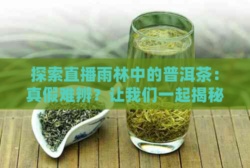 探索直播雨林中的普洱茶：真假难辨？让我们一起揭秘！