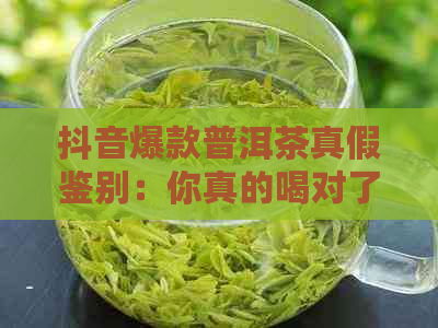 抖音爆款普洱茶真假鉴别：你真的喝对了吗？