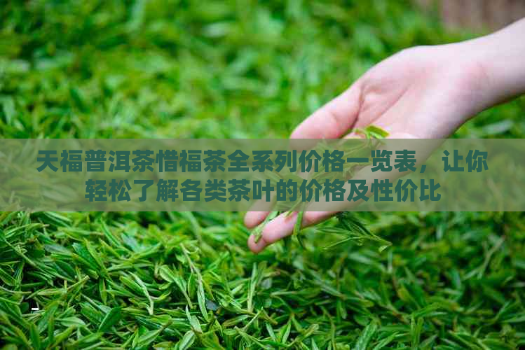 天福普洱茶惜福茶全系列价格一览表，让你轻松了解各类茶叶的价格及性价比