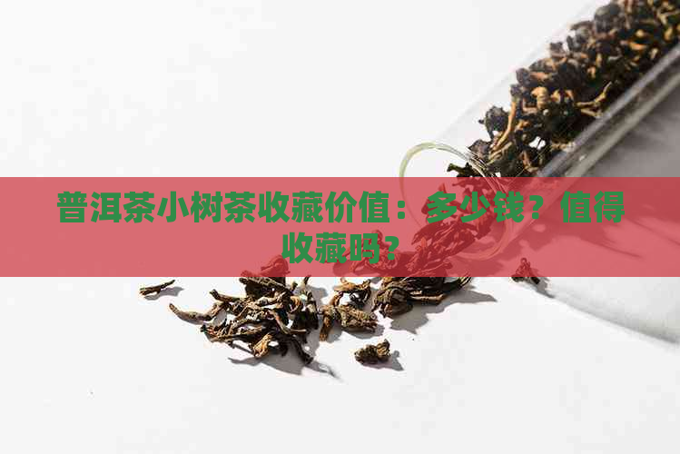 普洱茶小树茶收藏价值：多少钱？值得收藏吗？