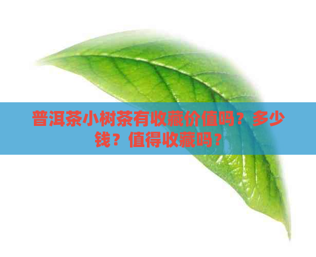 普洱茶小树茶有收藏价值吗？多少钱？值得收藏吗？