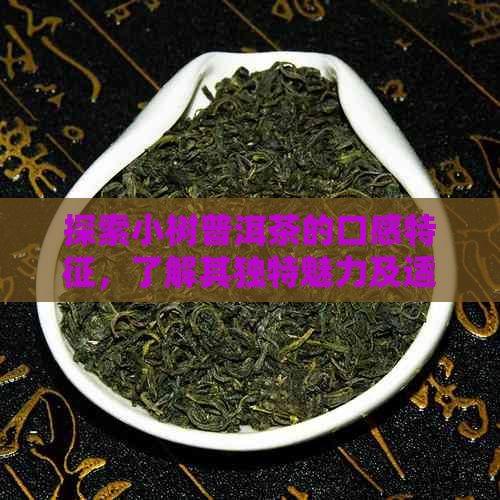 探索小树普洱茶的口感特征，了解其独特魅力及适合搭配的食品