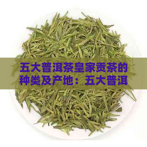 五大普洱茶皇家贡茶的种类及产地：五大普洱茶厂与五大普洱茶山详解