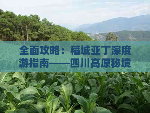 全面攻略：稻城亚丁深度游指南——四川高原秘境探索与实用出行建议