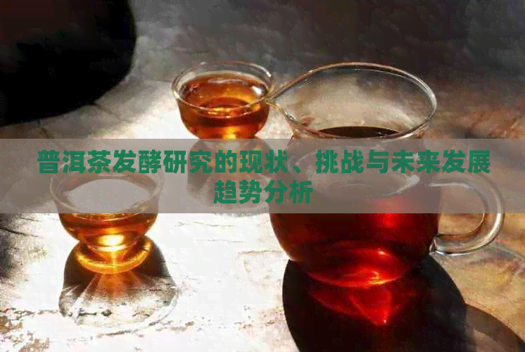 普洱茶发酵研究的现状、挑战与未来发展趋势分析