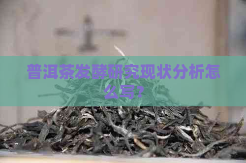 普洱茶发酵研究现状分析怎么写？