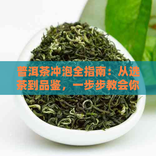 普洱茶冲泡全指南：从选茶到品鉴，一步步教会你如何泡出口感