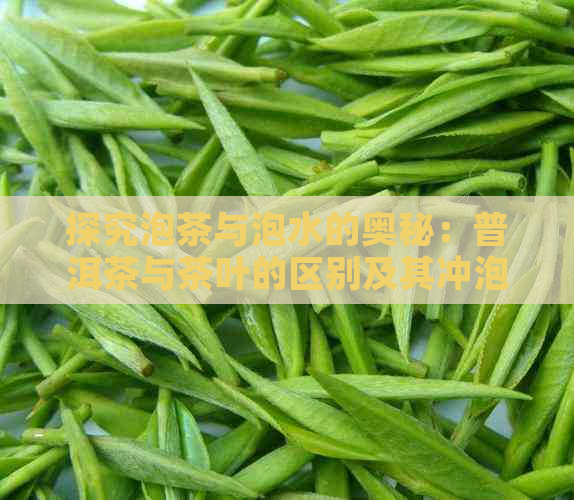 探究泡茶与泡水的奥秘：普洱茶与茶叶的区别及其冲泡技巧