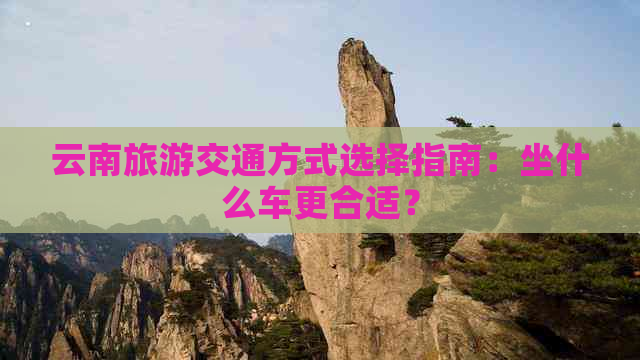 云南旅游交通方式选择指南：坐什么车更合适？