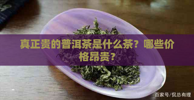 真正贵的普洱茶是什么茶？哪些价格昂贵？