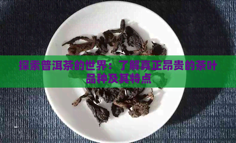 探索普洱茶的世界：了解真正昂贵的茶叶品种及其特点