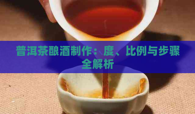 普洱茶酿酒制作：度、比例与步骤全解析