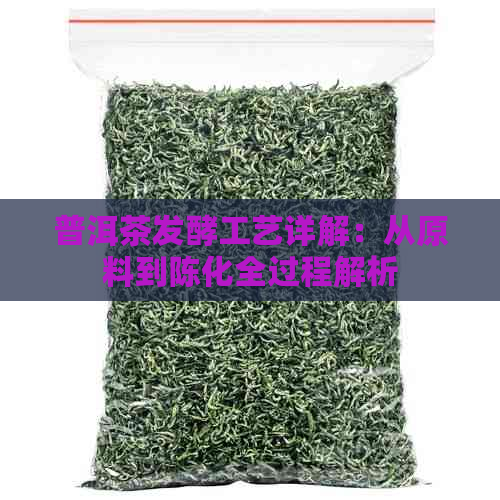 普洱茶发酵工艺详解：从原料到陈化全过程解析