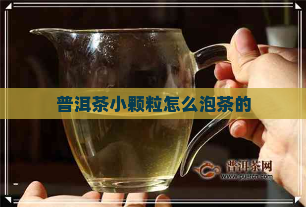 普洱茶小颗粒怎么泡茶的