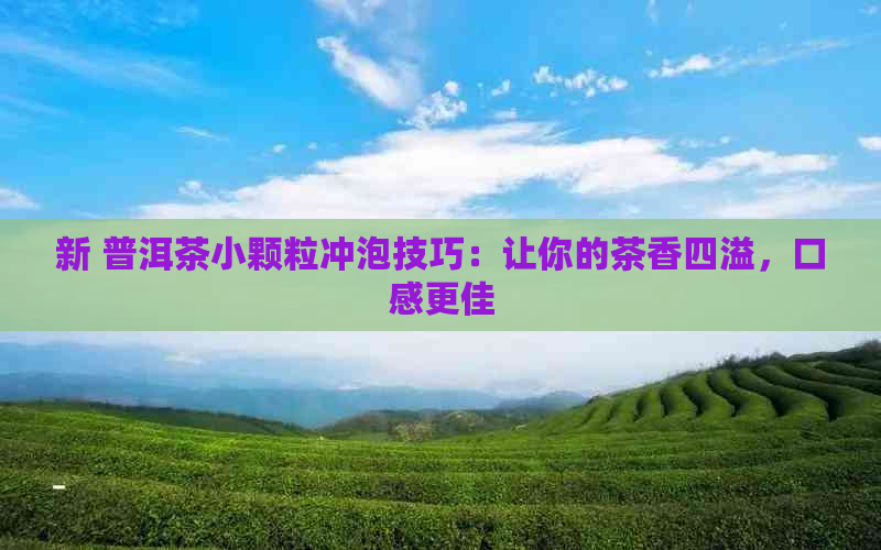 新 普洱茶小颗粒冲泡技巧：让你的茶香四溢，口感更佳