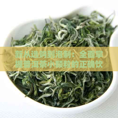 新从选购到泡制：全面掌握普洱茶小颗粒的正确饮用方法和效果