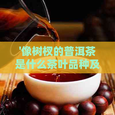 '像树杈的普洱茶是什么茶叶品种及介绍'