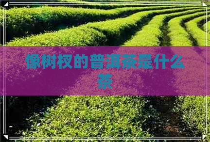 像树杈的普洱茶是什么茶