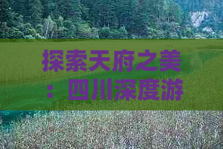 探索天府之美：四川深度游攻略与精彩游记