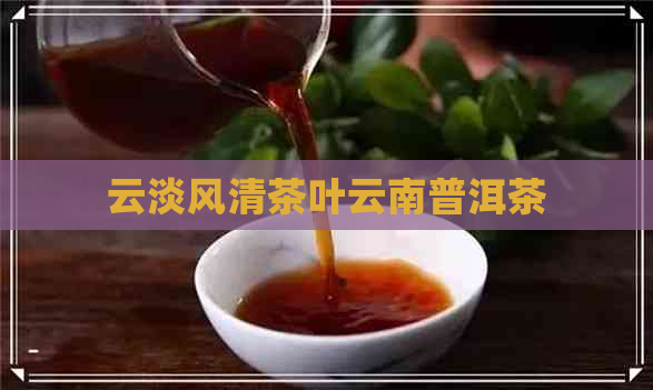 云淡风清茶叶云南普洱茶